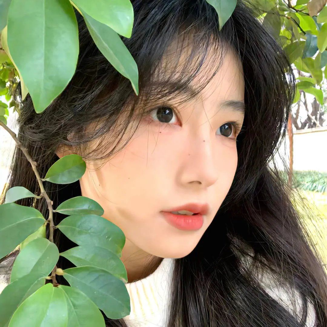 窗户周一到