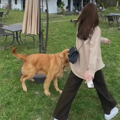 离去的女人